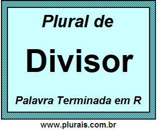 Plural de Divisor