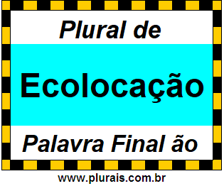 Plural de Ecolocação