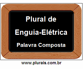 Plural de Enguia-Elétrica