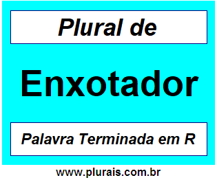 Plural de Enxotador