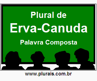 Plural de Erva-Canuda