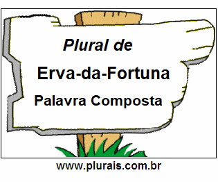 Plural de Erva-da-Fortuna