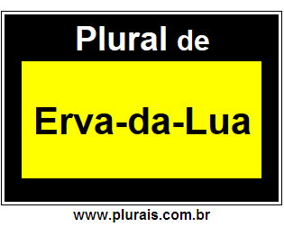 Plural de Erva-da-Lua