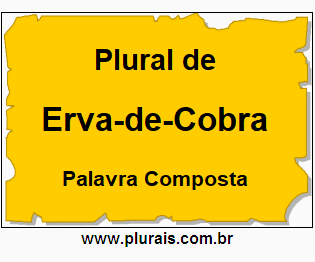 Plural de Erva-de-Cobra