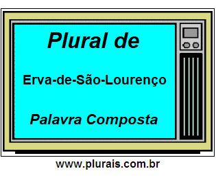 Plural de Erva-de-São-Lourenço