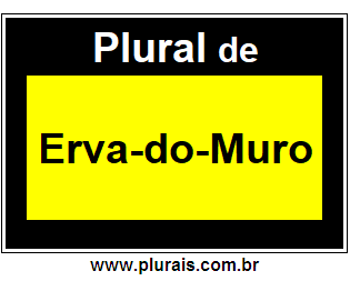 Plural de Erva-do-Muro