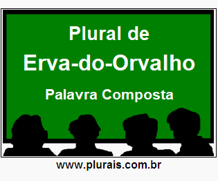 Plural de Erva-do-Orvalho