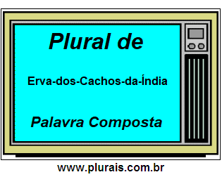 Plural de Erva-dos-Cachos-da-Índia