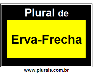 Plural de Erva-Frecha