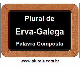Plural de Erva-Galega
