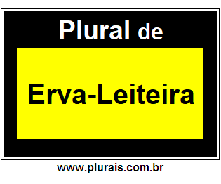 Plural de Erva-Leiteira