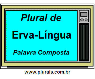 Plural de Erva-Língua