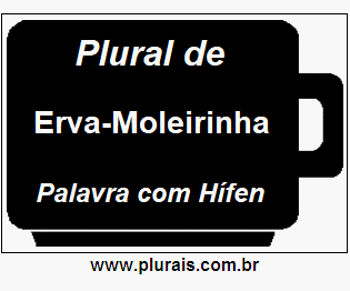 Plural de Erva-Moleirinha