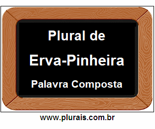 Plural de Erva-Pinheira