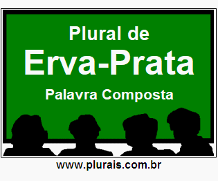 Plural de Erva-Prata