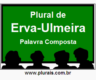 Plural de Erva-Ulmeira