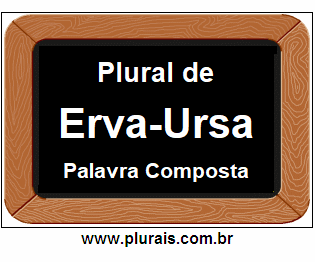 Plural de Erva-Ursa