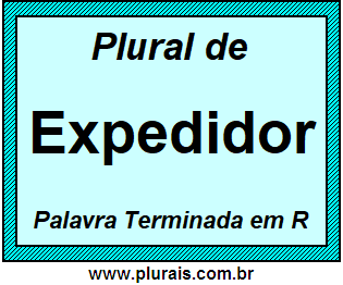 Plural de Expedidor