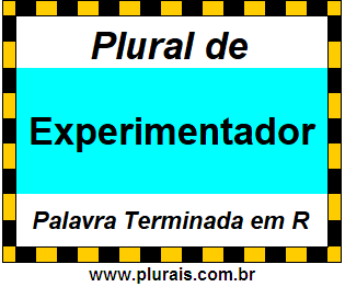 Plural de Experimentador