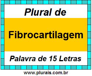 Plural de Fibrocartilagem