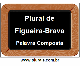 Plural de Figueira-Brava