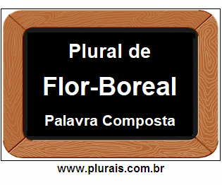 Plural de Flor-Boreal
