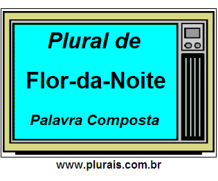 Plural de Flor-da-Noite