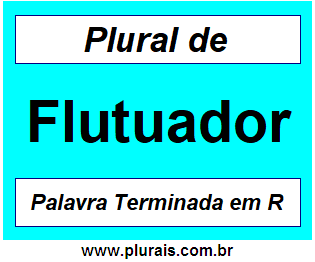 Plural de Flutuador