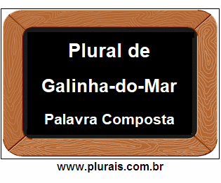 Plural de Galinha-do-Mar