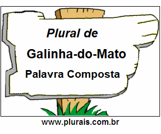 Plural de Galinha-do-Mato