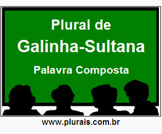 Plural de Galinha-Sultana