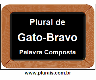 Plural de Gato-Bravo