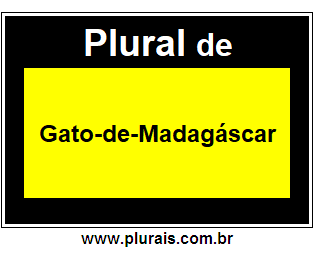 Plural de Gato-de-Madagáscar