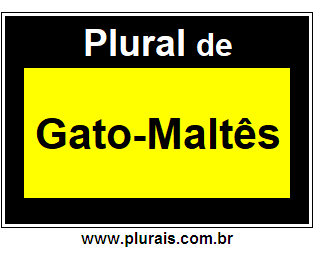 Plural de Gato-Maltês