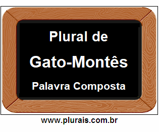 Plural de Gato-Montês