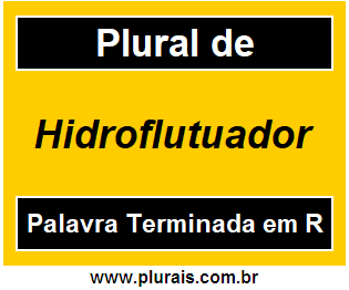 Plural de Hidroflutuador