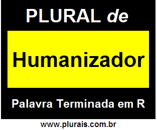 Plural de Humanizador