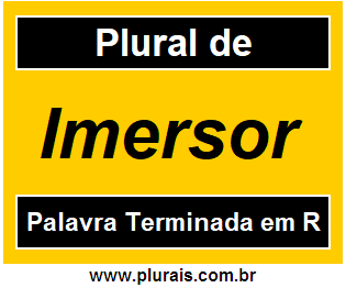 Plural de Imersor