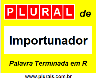 Plural de Importunador