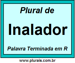 Plural de Inalador