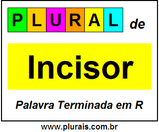 Plural de Incisor