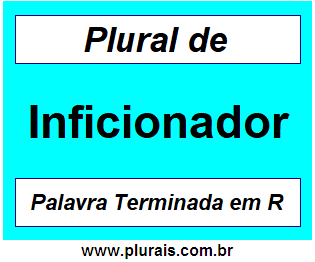 Plural de Inficionador