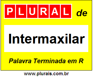 Plural de Intermaxilar