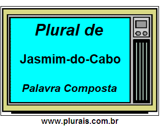 Plural de Jasmim-do-Cabo