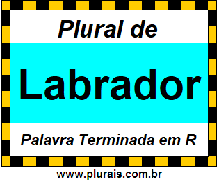 Plural de Labrador