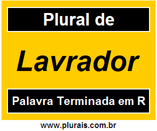 Plural de Lavrador