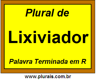 Plural de Lixiviador