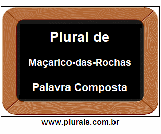 Plural de Maçarico-das-Rochas