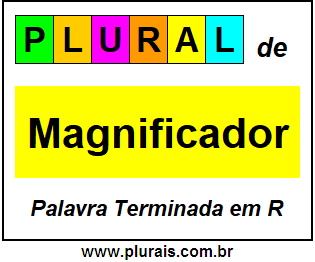 Plural de Magnificador