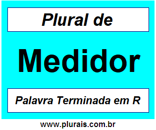 Plural de Medidor